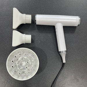 Sèche-cheveux professionnel personnalisé à ions négatifs, moteur BLDC, séchage rapide, faible bruit, 1 diffuseur, 2 embouts, ensemble de sèche-cheveux - Product Image 1