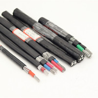 0,6/1KV cable concentrico 2x6 2x4 2x10 2x16 2x6 + 1x8 AWG Cables concéntricos