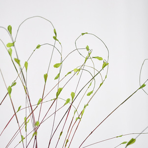 Branches de saule artificielles avec bourgeons verts et bruns, fleurs pour arrangements floraux, décoration intérieure - Product Image 4