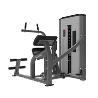 Appareil de musculation commercial à charge par pignon pour extensions abdominales et dorsales