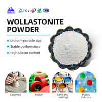 Poudre de Wollastonite Industrielle Polyvalente pour Céramique, Construction, Revêtement Caoutchouc, Matière Première pour la Fabrication du Papier, Vente Transfrontalière en Petites Quantités