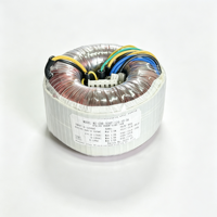 Transformateur toroïdal fiable 50/60 Hz 110 V/240 V entrée, 20-20 V double sortie pour amplificateurs audio Hi-Fi et amplificateurs de puissance sonore