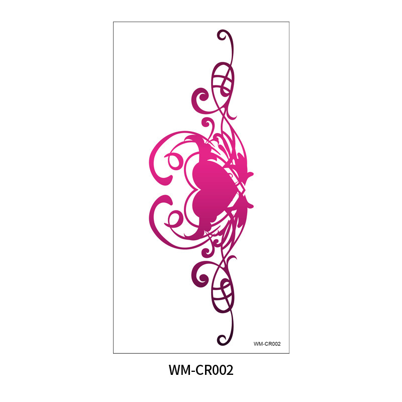 WM-CR002