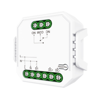 Module de commutation Wi-Fi intelligent à double pôle, entrée AC/DC 100-240V 1000W, matériau PC, usage domestique, contact momentané NC/NO, contact sec