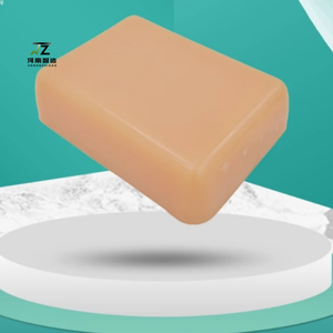 Módulo de Entrenamiento para Inyección de Bloqueo Nervioso Guiado por Ultrasonido - Maniquí de Tamaño Real para Punción Nerviosa con Guía de Ultrasonido - Product Image 2