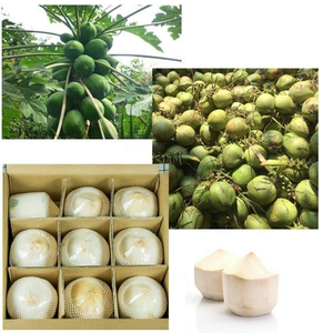 Máquina automática para lavar y pelar frutas y verduras: pan de fruta, mango, piña, coco - Product Image 1