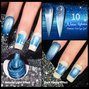 R S Nail Professional 8g Neon Reflective Ceramic Cat Eye Gel 12 colores de larga duración OEM ODM Three Step Gel Polish Nail Supplies - Product Image 6