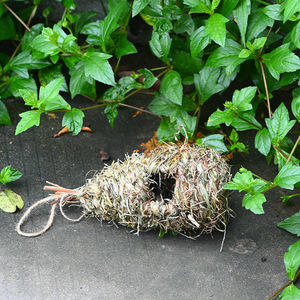 Nid d'oiseau tissé en herbe, taille moyenne, décoration de jardin faite à la main pour les oiseaux, origine Fujian - Product Image 4