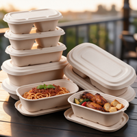 Boîte à lunch rectangulaire en pulpe de bagasse avec couvercle, conteneur alimentaire à emporter 500ml 700ml 850ml 1000ml, vaisselle jetable compostable