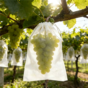 Garden Fruit Protection <b>Mesh</b> Bags Drawstring Anti-Bird <b>Insect</b> Netting for Grape & Small Fruits - Product Image 2