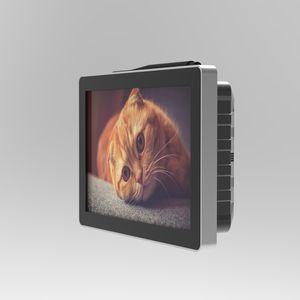 Wells 10,1 Zoll kapazitive Touch Marine Industrie <span class=keywords><strong>Android</strong></span> Panel PC mit benutzer definierten Temperatur-und Feuchtigkeit sensor - Product Image 5