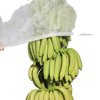 Pp Gesponnen Band Niet-Geweven Fruit Hoes Bananenzak Waterdichte Dadelpalm Zak Anti Uv Polypropyleen Niet-Geweven