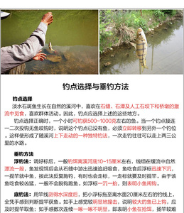 Petit bateau <span class=keywords><strong>de</strong></span> pêche Flotteurs <span class=keywords><strong>de</strong></span> grotte d'herbe Flotteurs <span class=keywords><strong>de</strong></span> tache <span class=keywords><strong>de</strong></span> pierre Flotteurs <span class=keywords><strong>de</strong></span> petit poisson Flotteurs <span class=keywords><strong>de</strong></span> gros ventre en mousse et matériau Eva Bouée - Product Image 5