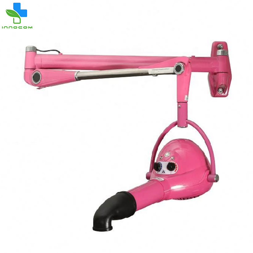 Professional Pet Salon Hair Dryers Dog Grooming Salon Wall Mounted Dryer Blaster Adjustable Speed And Temperature Water Blower