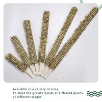 Vente en gros de fournitures de jardin d'intérieur Poteaux de support de plantes en mousse de tourbe de sphaigne pour orchidée Monstera grimpante pour orchidées Plantes d'intérieur