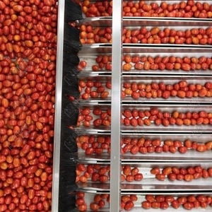 Leadworld New Arrival Sản phẩm đóng hộp nhỏ cà chua dán Máy chế biến giá dòng sản xuất của cà chua dán - Product Image 5