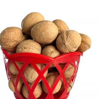 Noix en coque en gros, naturelles, brutes, séchées, de qualité supérieure, à coque fine, en vrac, qualité alimentaire, pour boulangerie, petit-déjeuner et céréales