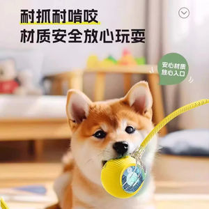 <b>Dog</b> <b>Toy</b> Automatic Walking Ball Bite Resistant Self Entertaining Pet Electric Intelligent Training Interactive <b>Dog</b> Jumping Ball - Product Image 2