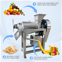 Dezoton 2200W Industriële Koude Pers Fruitpers Machine Hoge Efficiëntie Schroefpers voor Fruit- en Groenteverwerking
