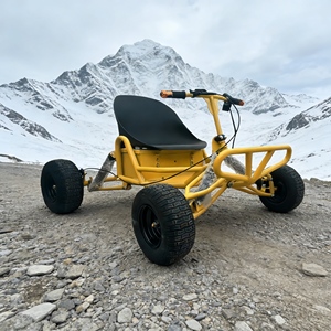 Nouvelle Arrivée : Karts à pédales confortables, à essence, et karts d'<span class=keywords><strong>occasion</strong></span> à prix abordable pour l'amusement en plein air – Offre de seconde main - Product Image 3