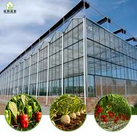 Serres agricoles multi-spans en verre de type Venlo à prix de gros pour la culture de tomates