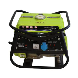 Wenxin Generator tanaman kekuatan Royal, Generator listrik rumah berkualitas tinggi Max 1200W