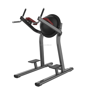 Equipo de Gimnasio para Fisicoculturismo, Máquina de Abdominales, Levantamiento de Piernas, Flexiones y Dominadas, Accesorios para Entrenamiento - Product Image 1