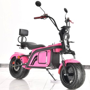 Nouveau Scooter 2000W en Stock entrepôt européen CEE avec batterie amovible, moto à frein à disque pour hommes - Product Image 3