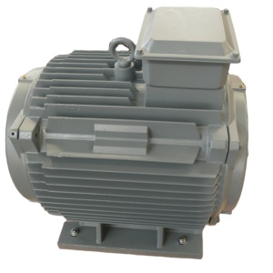 เครื่องกำเนิดไฟฟ้าแม่เหล็กเฟสเดียว 5 กิโลวัตต์ รอบต่ำ รุ่น YGDL MAGNET ALTERNATOR - Product Image 5