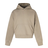 Sweat-shirt à capuche unisexe en coton épais de style américain, couleur unie, coupe décontractée et polyvalente pour l'automne