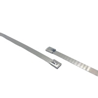 Selbstsichernde Edelstahl-Kabelbinder 4,6x300mm 8mmx300mm
