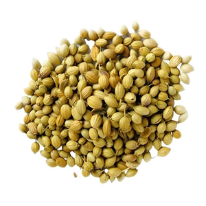 Graines de coriandre indienne naturelle entières, épurées à la machine, qualité export, pour la fabrication alimentaire, approvisionnement en vrac et international - Product Image 3