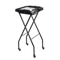 Haar verlängerung Trolley Folding Design mit magnetischen Saugnäpfen Praktische Haarfärbung und Friseur Special Mobile Table