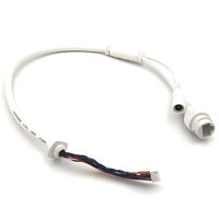 Conector RJ45 DCJ Impermeable de 10 Núcleos con Conductor de Cobre Estañado Aislado con PVC, Arnés de Cableado para Cámaras IP PTZ