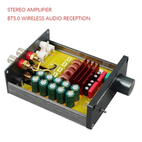 BRZHIFI vente en gros TPA3116 carte amplificateur de puissance 50W * 2 2.0 canaux puissance classe D amplificateur numérique