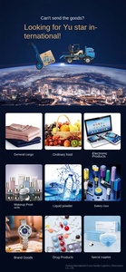 Spedizioniere Marittimo DDP Più Economico in Cina per USA, Regno Unito, Germania, Australia, Agente di Spedizioni Logistiche FBA - Product Image 3