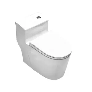 2106 FANNISI购买低短底座超薄水箱高效厕所起重机空间节省ADA当代厕所系统