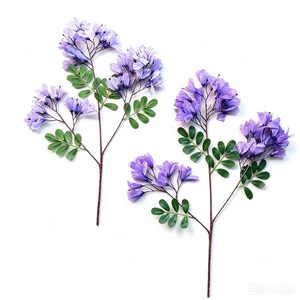 Rama de Jacaranda Artificial Simulada de 62cm, Color Morado, para Decoración del Hogar y Bodas - Product Image 1