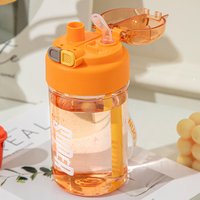 Gobelet à eau portable en plastique double paroi, style classique, durable, 620 ml/750 ml, avec paille, idéal pour le bureau et le travail