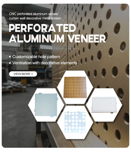 Revêtement acoustique en aluminium perforé, personnalisable dans diverses formes, couleurs et styles - Product Image 1