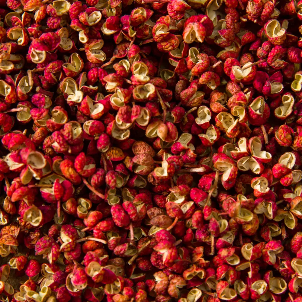 Venta caliente de fábrica al por mayor de cáñamo personalizado Chile seco rojo chino pimienta Sichuan especias chino ceniza Espinosa