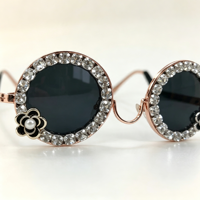 Accessoires pour animaux de compagnie : Lunettes fantaisie solides, décoratives et colorées, avec strass scintillants, en plastique, pour petits animaux et chiens, idéales pour les anniversaires et l'automne