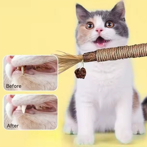 Nouveaux bâtonnets de Silvervine, jouet à mâcher dentaire naturel à la <span class=keywords><strong>catnip</strong></span> pour chat, stimulant l'humeur et favorisant la santé bucco-dentaire - Product Image 6