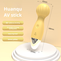 Wiederaufladbarer Silikon-Mini-Massager Vibrator 12 Vibrationsmodi AV-Vibrator Flirt-Vibro-Eier Erotikspielzeug für Erwachsene