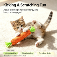 Jouets pour chats en sisal, motif dessin animé, bâton de carotte amusant pour les dents, résistant aux morsures et aux griffures, fournitures pour animaux de compagnie