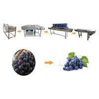 Ligne de nettoyage et de séchage automatisée du raisin Système de lavage et de séchage du raisin pour la production de vin