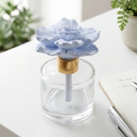 Diffuseur de parfum en verre 50 ml avec bâtonnets, coffret cadeau, diffuseur d'huiles essentielles en céramique parfumée avec fleur en porcelaine pour aromathérapie
