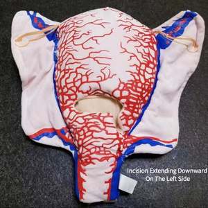 מבנה כלי דם תלת ממדי של כלי דם של היריון, חומר בד מודל עושה ברחם של חתכים מרובים - Product Image 4