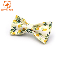 Collier pour chat imprimé citron avec nœud papillon, boucle de sécurité en métal, collier réglable mignon pour chaton, accessoires pour animaux de compagnie, OEM ODM personnalisé