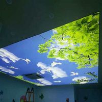 Film de plafond tendu rétroéclairé en PVC de 3,2 m pour showroom de vente au détail - Prix usine